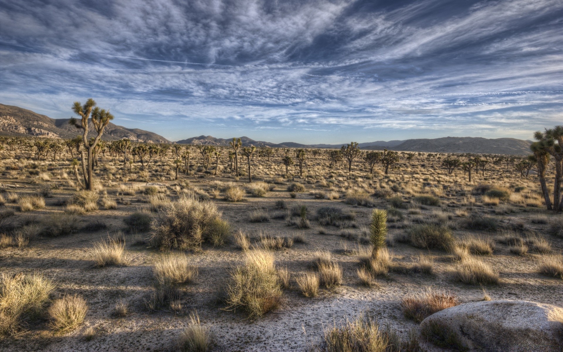 deserto paesaggio viaggio asciutto all aperto cielo natura scenico arid montagna roccia sterile collina