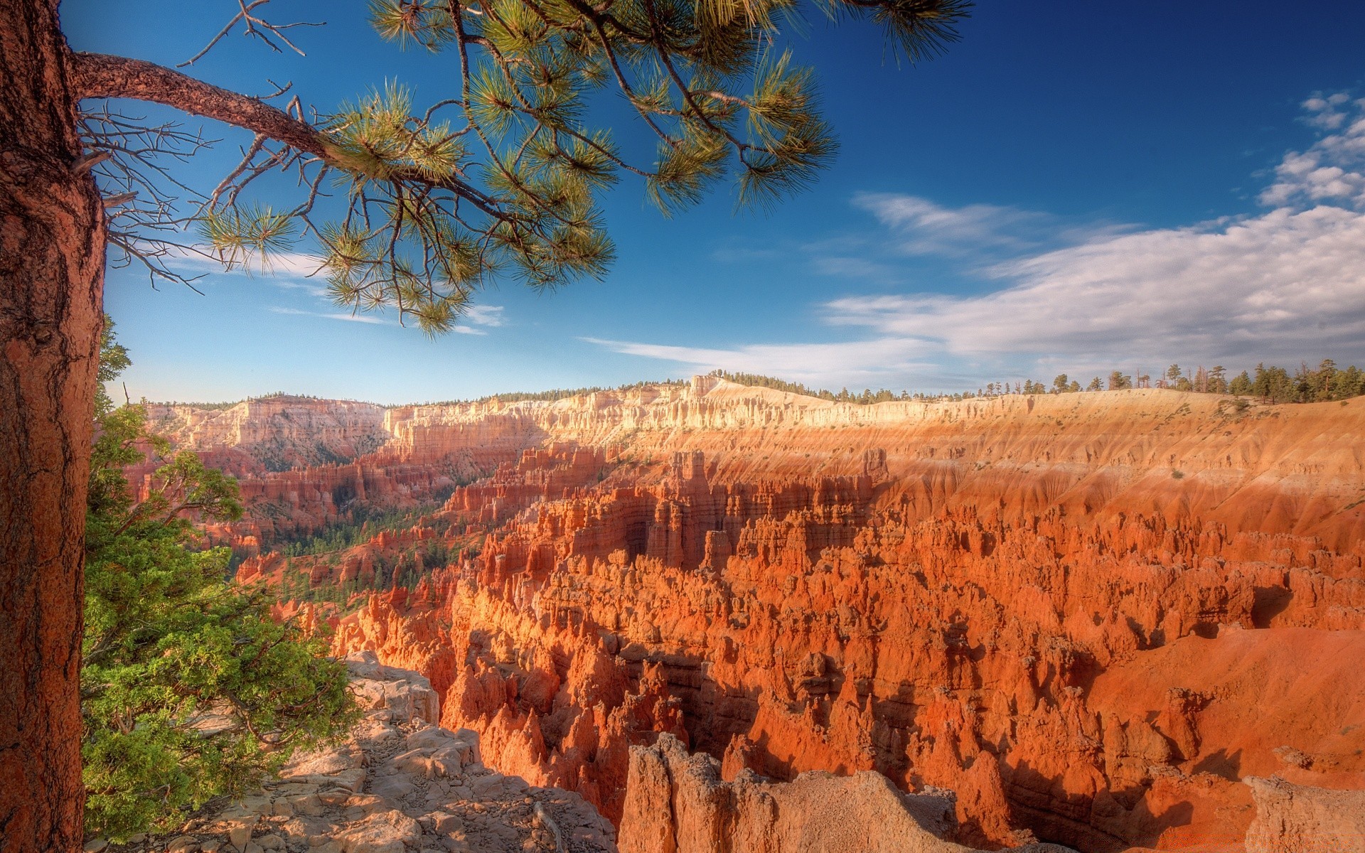 deserto paisagem ao ar livre árvore natureza viagens cênica parque céu rocha montanhas geologia amanhecer luz do dia canyon arenito vale