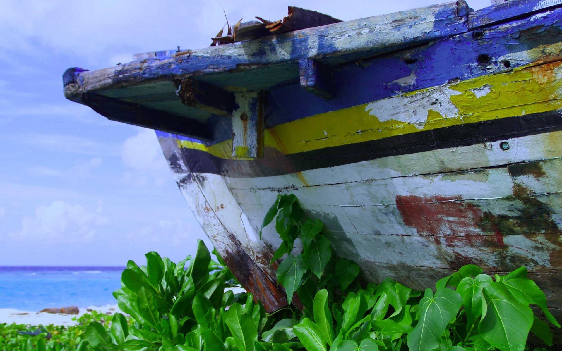 mare e oceano natura acqua estate colore viaggi barca cibo all aperto legno desktop