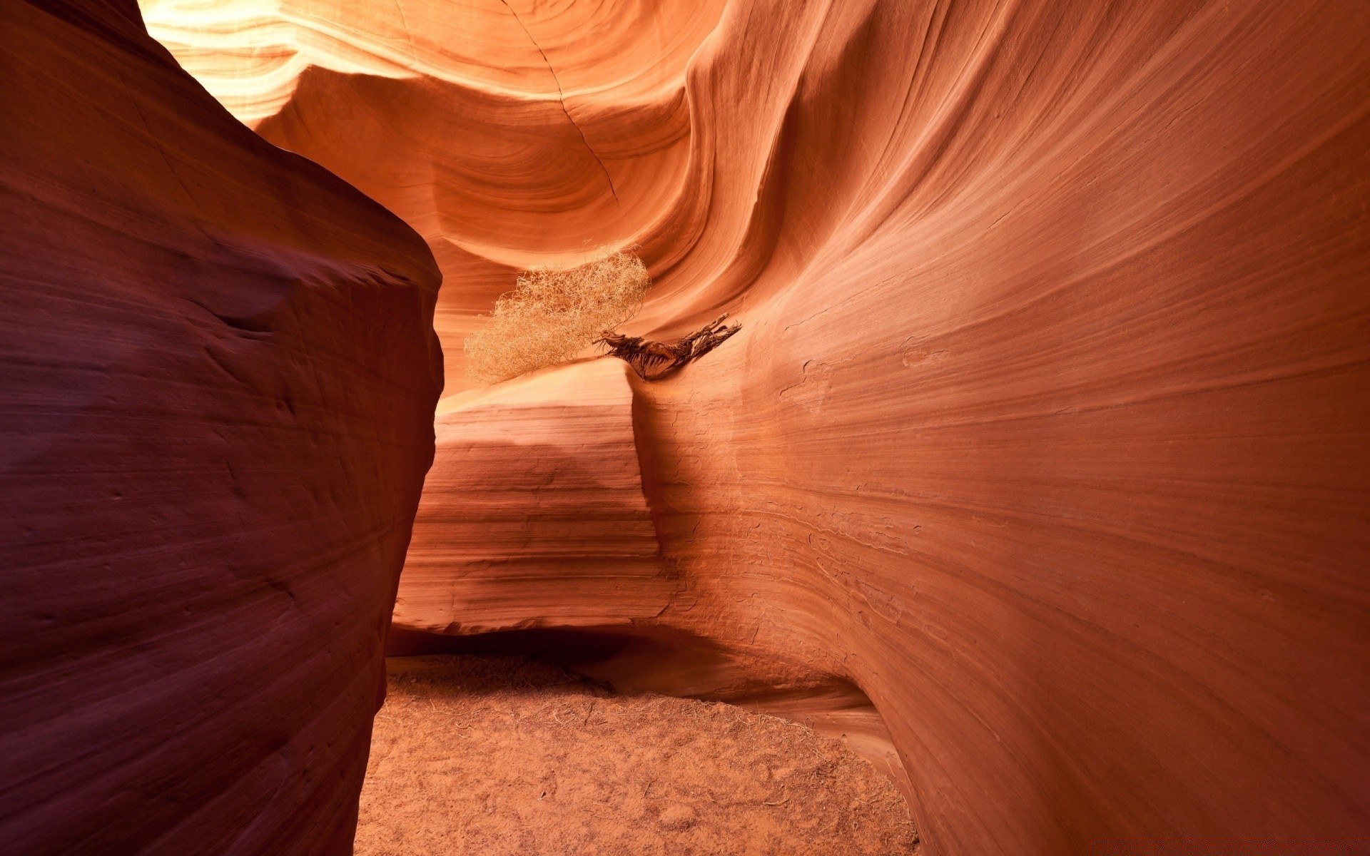 wüste schlucht sandstein antilope erosion slot rock sand schmal landschaft aride geologie reisen schlucht dämmerung sonnenuntergang natur trocken tal