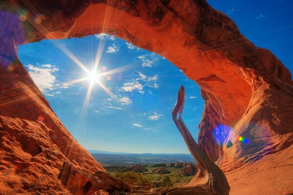 Sunset in the desert decorated the landscape