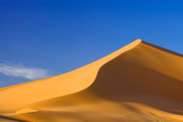 Qué desierta siempre en el desierto