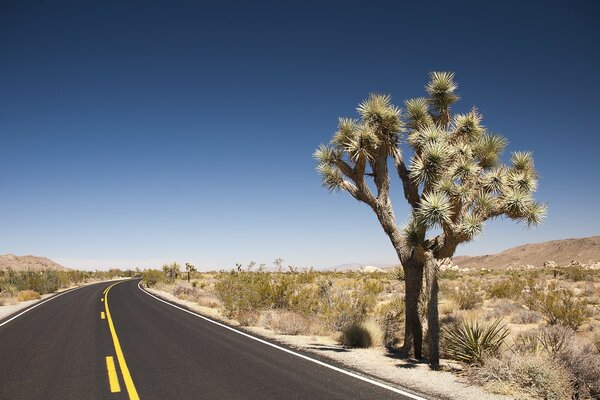 Il viaggio su strada nel deserto è indimenticabile