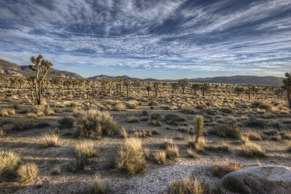 Desert landscape under a gray sky