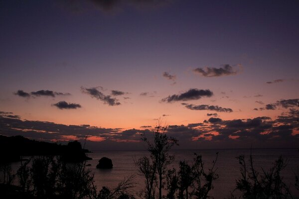 The sea horizon in the colors of sunset