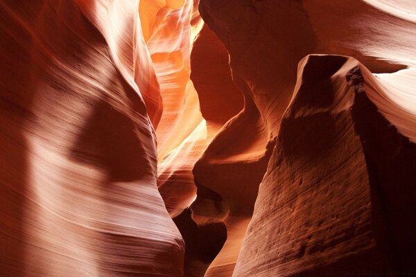 Beau Canyon sur le bureau