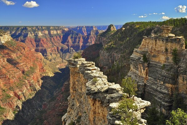 Uma incrível vista diversificada do Canyon