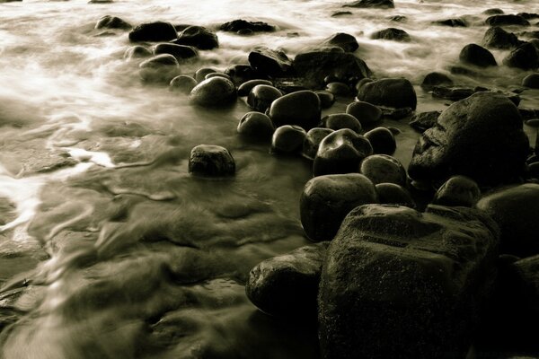 Meer Ozean Steine Schlamm Strand