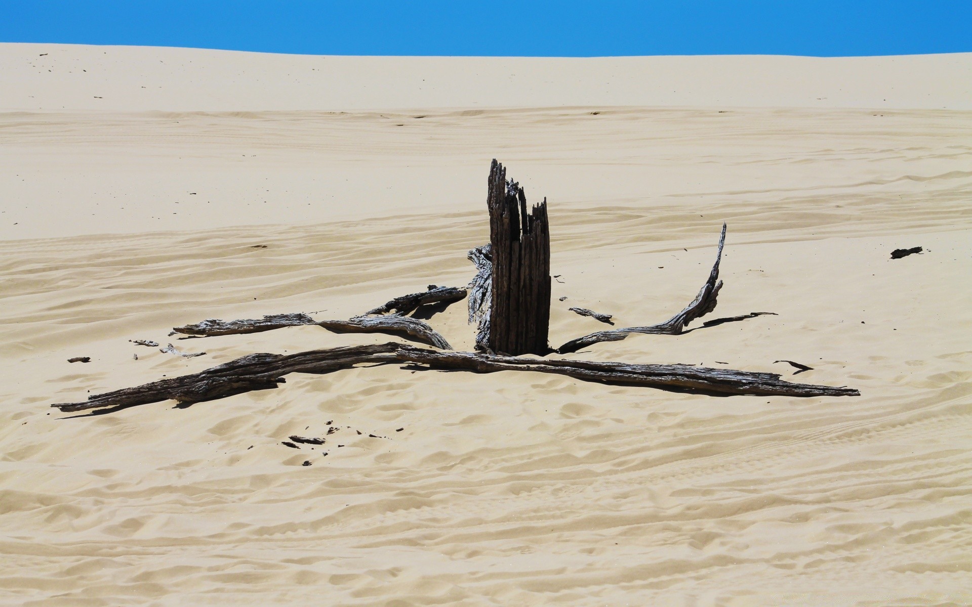 deserto areia praia água paisagem oceano mar mar viagem seco onda estéril natureza quente cênica duna céu horizonte um