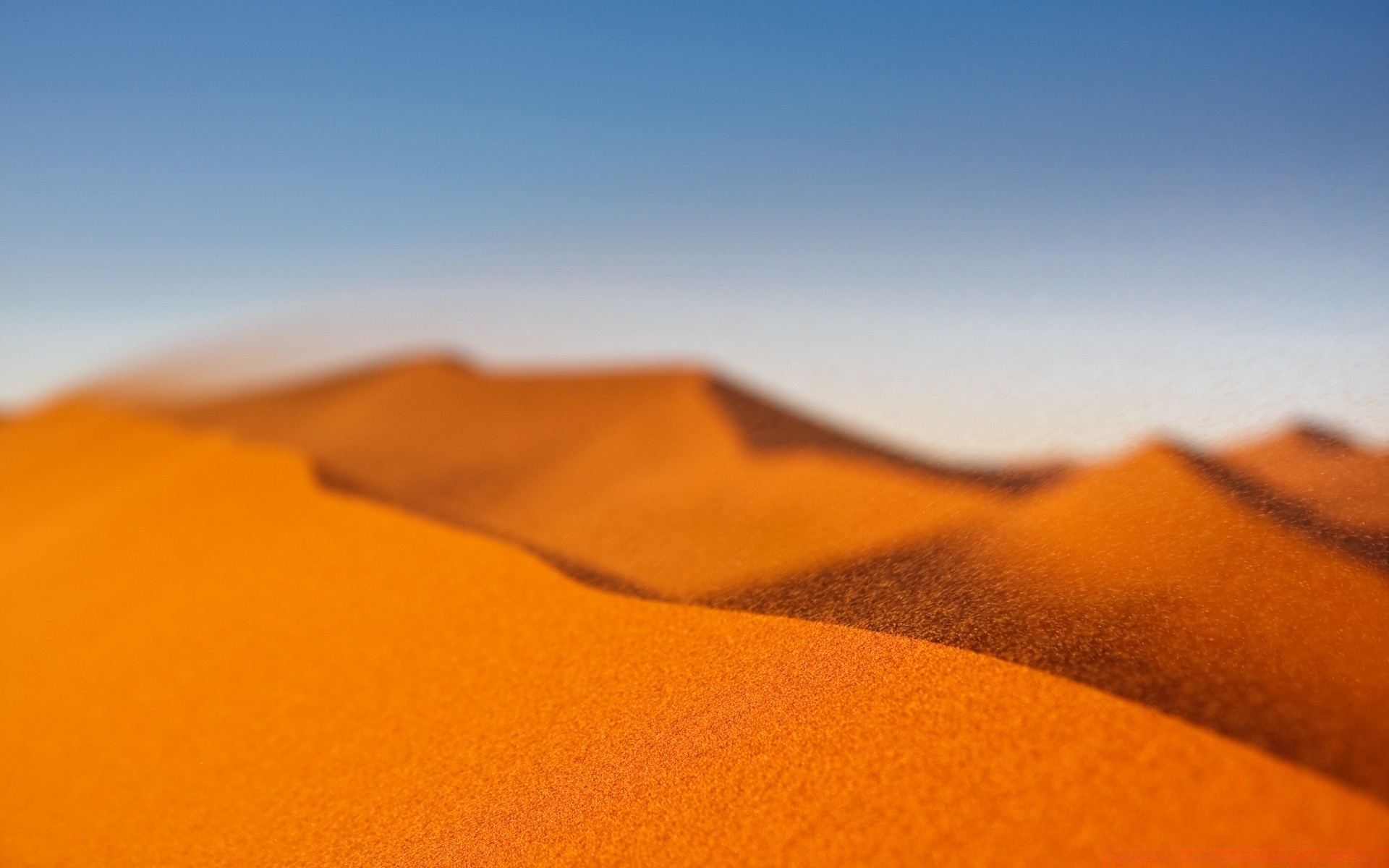 desert sand travel beach hot dry dune sunset barren daylight arid