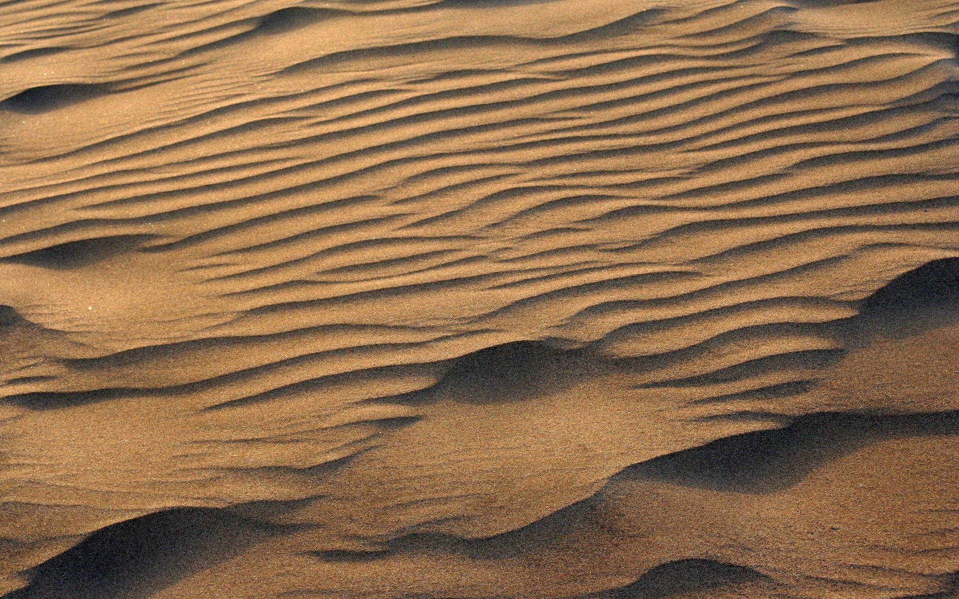 deserto sabbia aride sterile dune secco struttura avventura modello spiaggia mare sete sentiero ondulazione uno