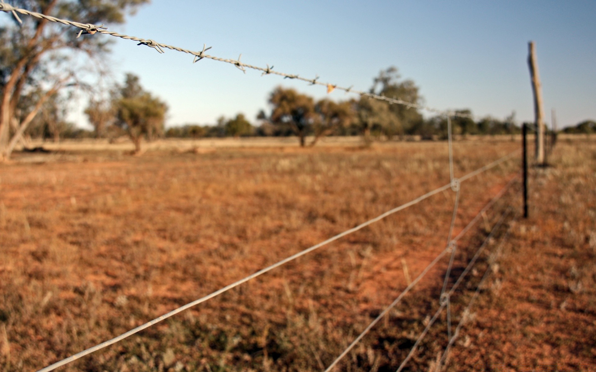 desert agriculture outdoors farm field nature soil fence landscape tree sky grass dry crop environment industry flora