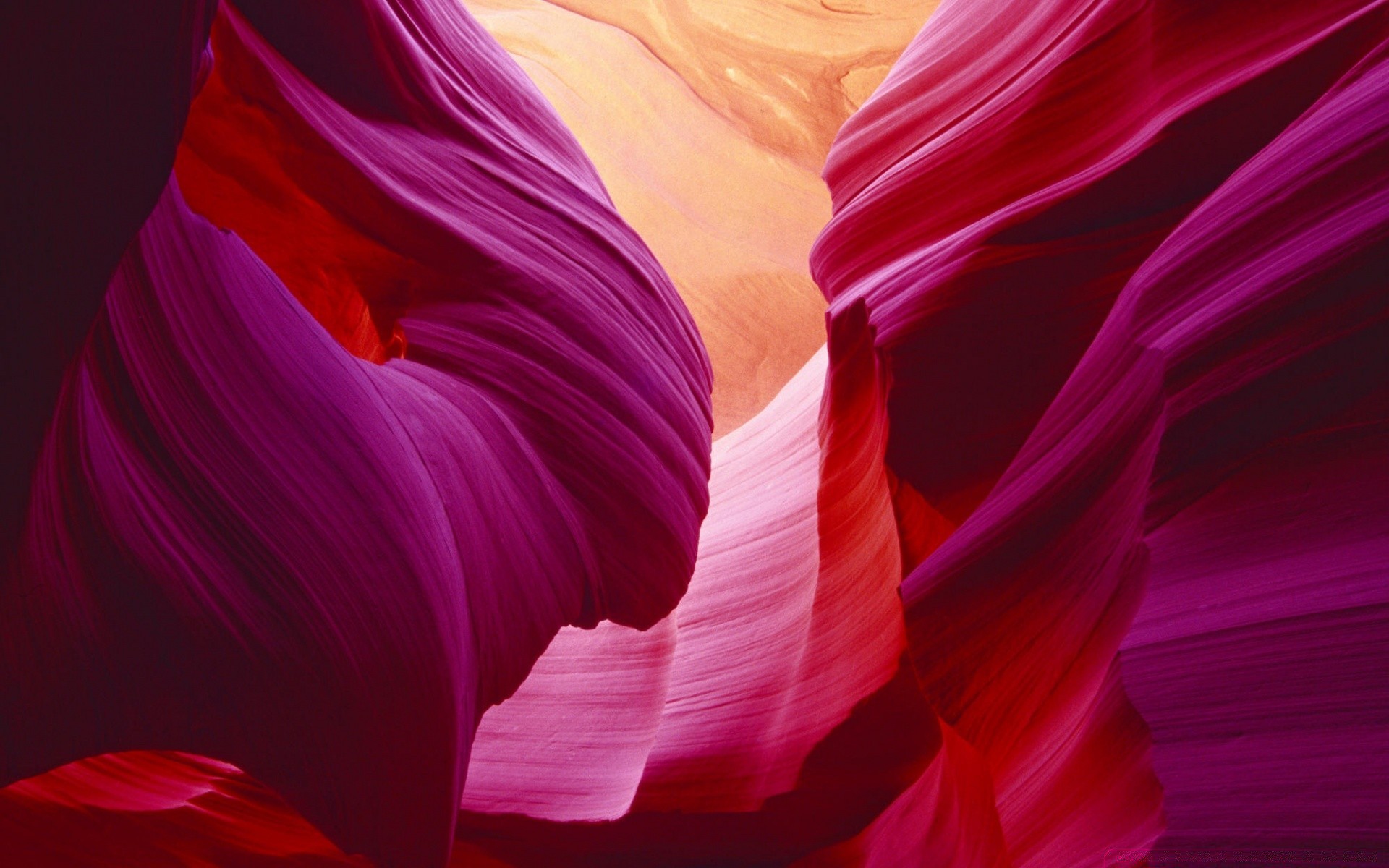 desert art color abstract flower nature