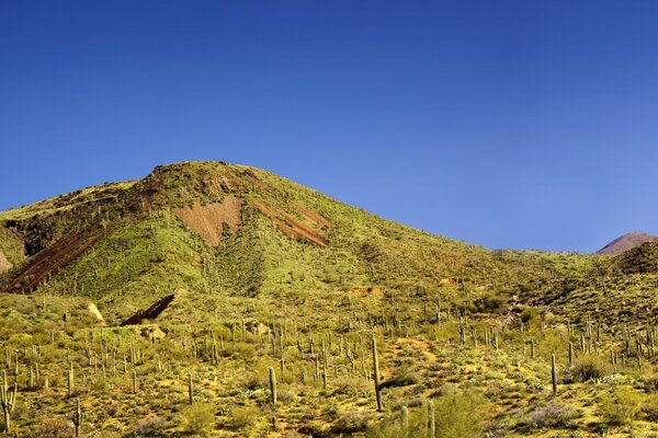 Desert landscape. Mountains and sky