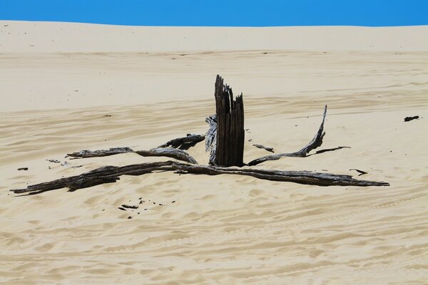 Paisaje desierto arena, playa