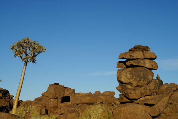 Deserto, cielo sereno e belle strutture