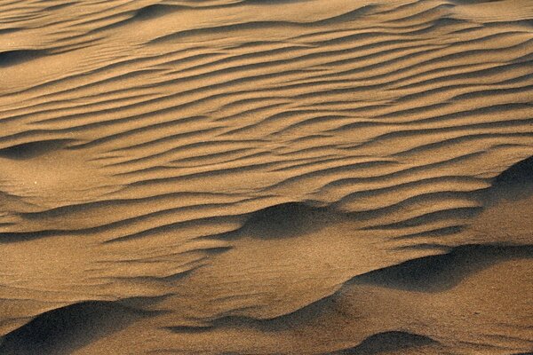 Dune de sable dans le désert aride