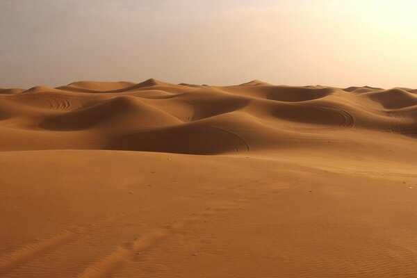 Golden sands of the desert, dunes