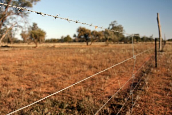 Farm outdoor field