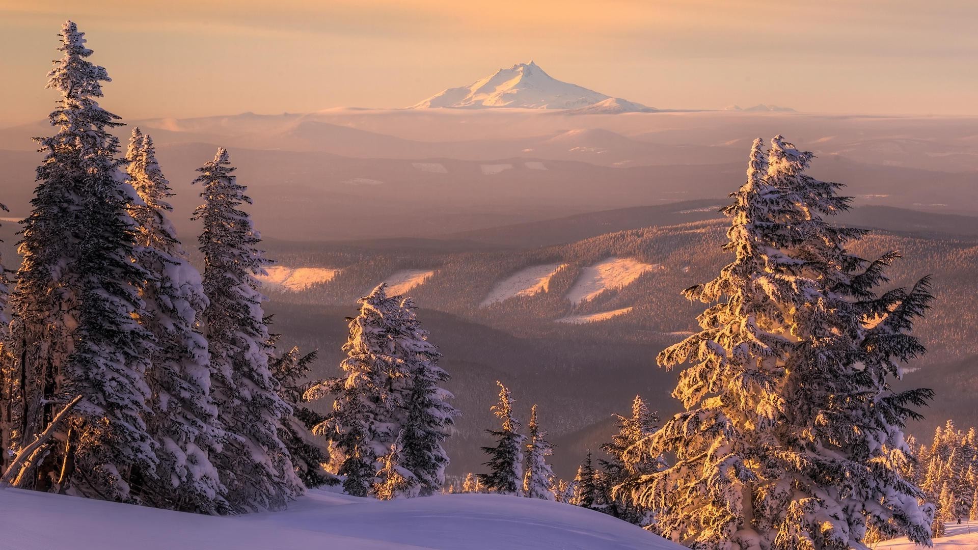 coucher du soleil et l aube neige hiver montagnes bois paysage bois froid scénique conifères à l extérieur evergreen voyage nature gel glace aube