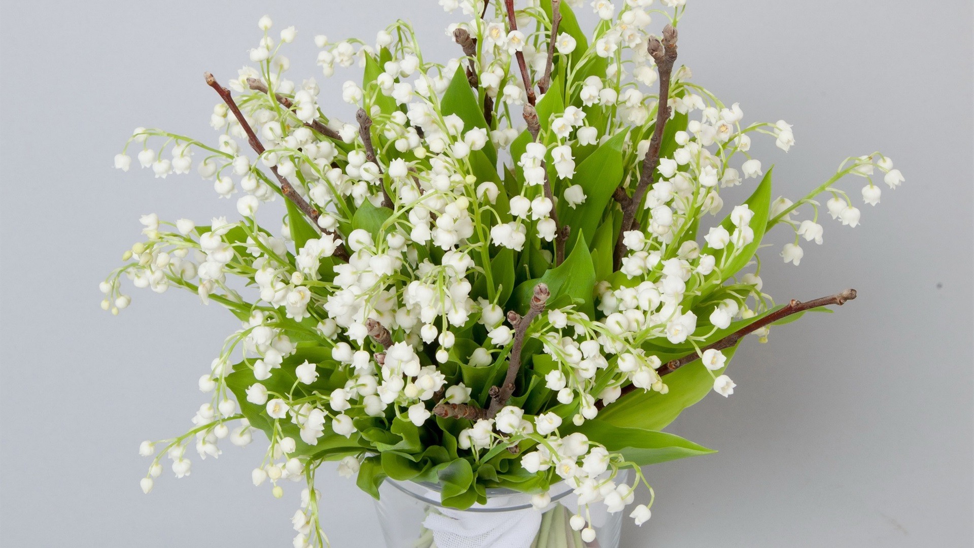 a bouquet of flowers flower nature flora leaf bouquet cluster floral blooming season petal summer decoration bright growth husk bud vase garden close-up