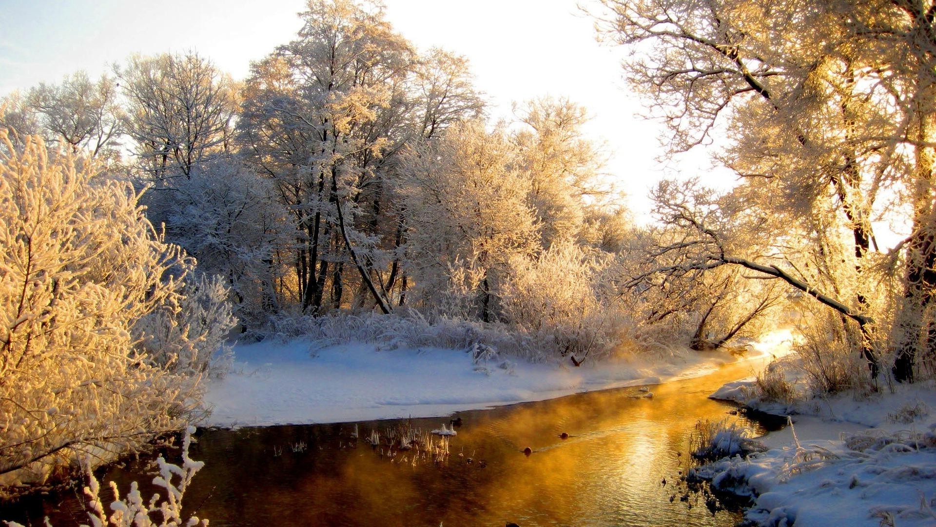 rivers ponds and streams landscape nature wood tree winter snow outdoors cold scenic park fall water season fog fair weather frost environment travel