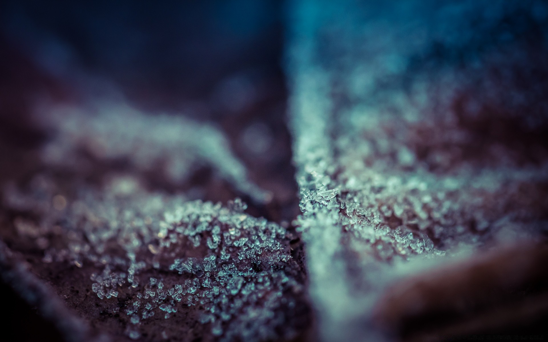 macro natureza borrão brilho inverno água resumo ao ar livre outono textura dof cor gelo comida