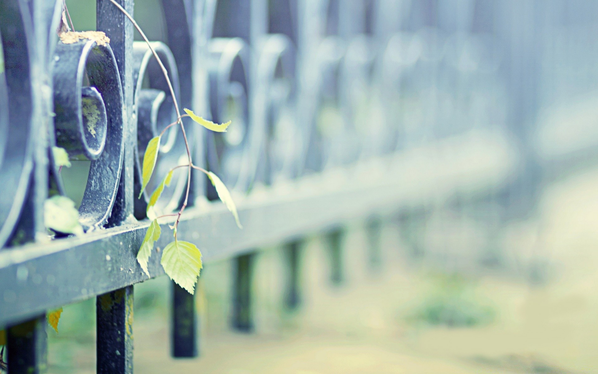 photographie macro en plein air bureau industrie technologie