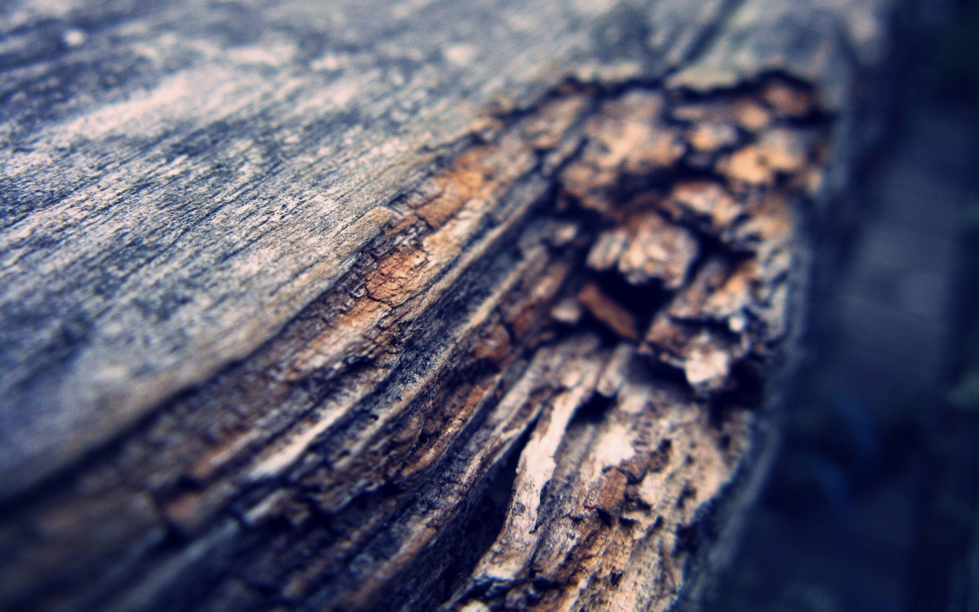 macro nature desktop texture outdoors abstract water travel dirty rough close-up old