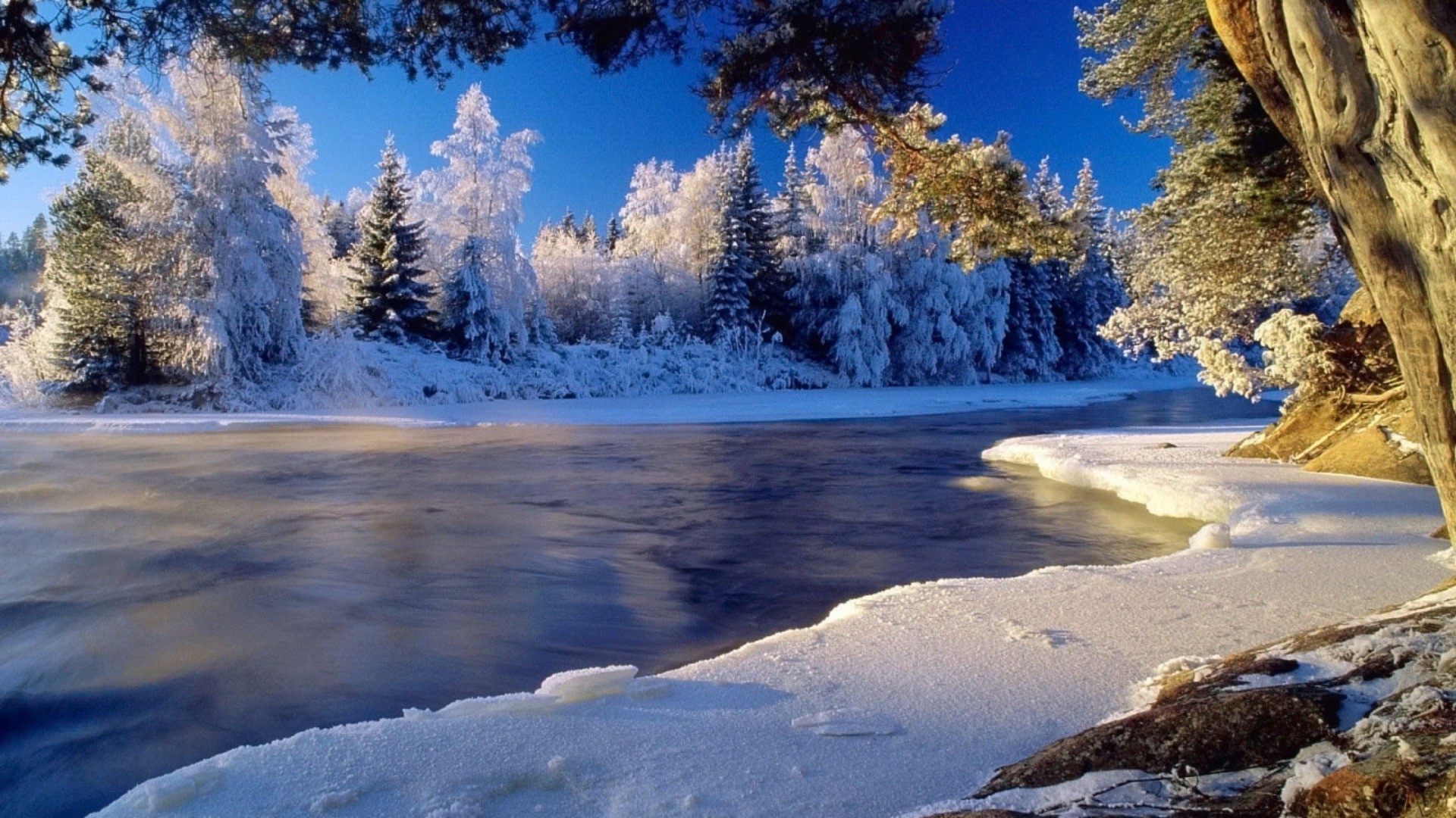 hiver neige froid bois glace paysage scénique nature gel bois montagnes à l extérieur congelés eau beau temps