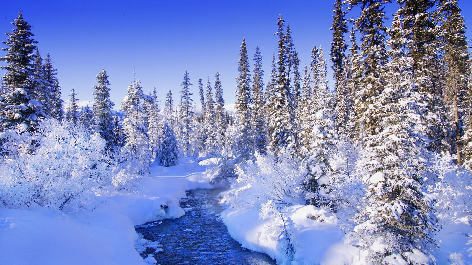 flüsse teiche und bäche teiche und bäche schnee winter kälte frost holz eis landschaftlich berge gefroren landschaft saison baum natur gutes wetter evergreen nadelbäume wetter