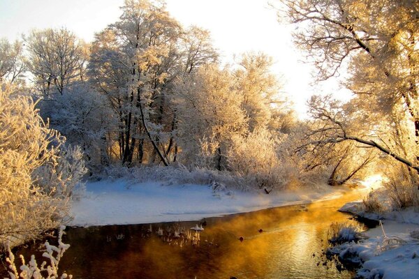 Winter landscape with an unfrozen stream