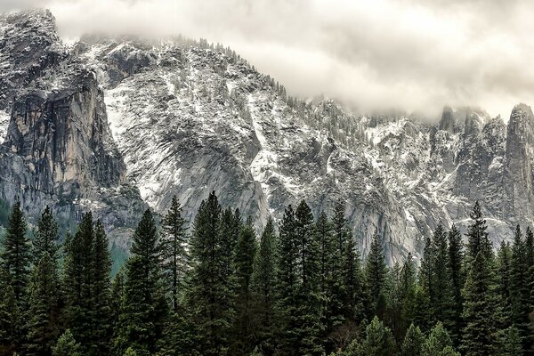 Die natürliche Schönheit der schneebedeckten Berge und Wälder