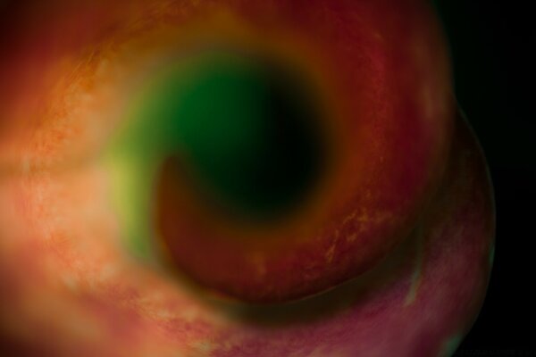 Macro photography. Rainbow color. Blurring