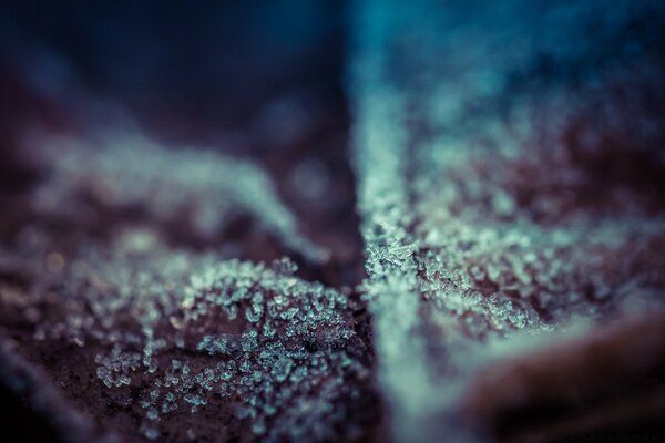 Jaqueta após a queda de neve Macro