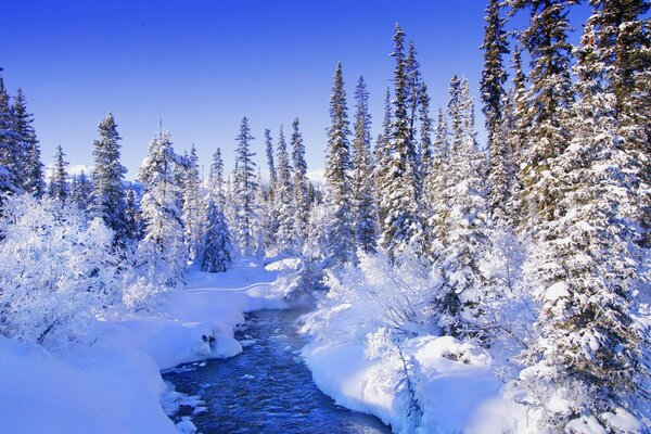 河流在冬天的雪下变成小溪