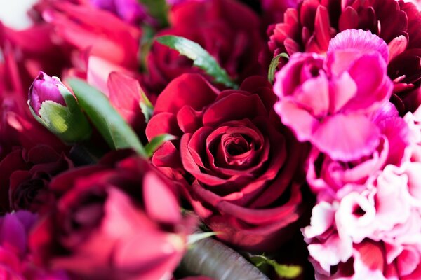 Red Rose in a bouquet of flowers