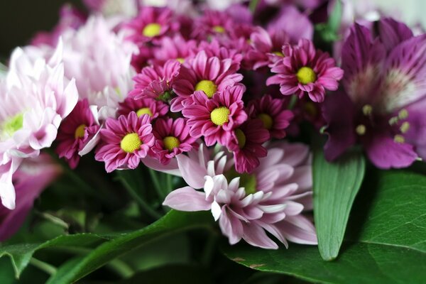 Süßer Blumenstrauß aus rosa Blüten