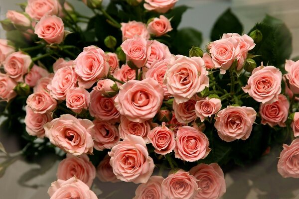 Bouquet of delicate pink roses