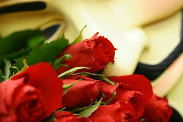 Bellissimo mazzo di rose rosse