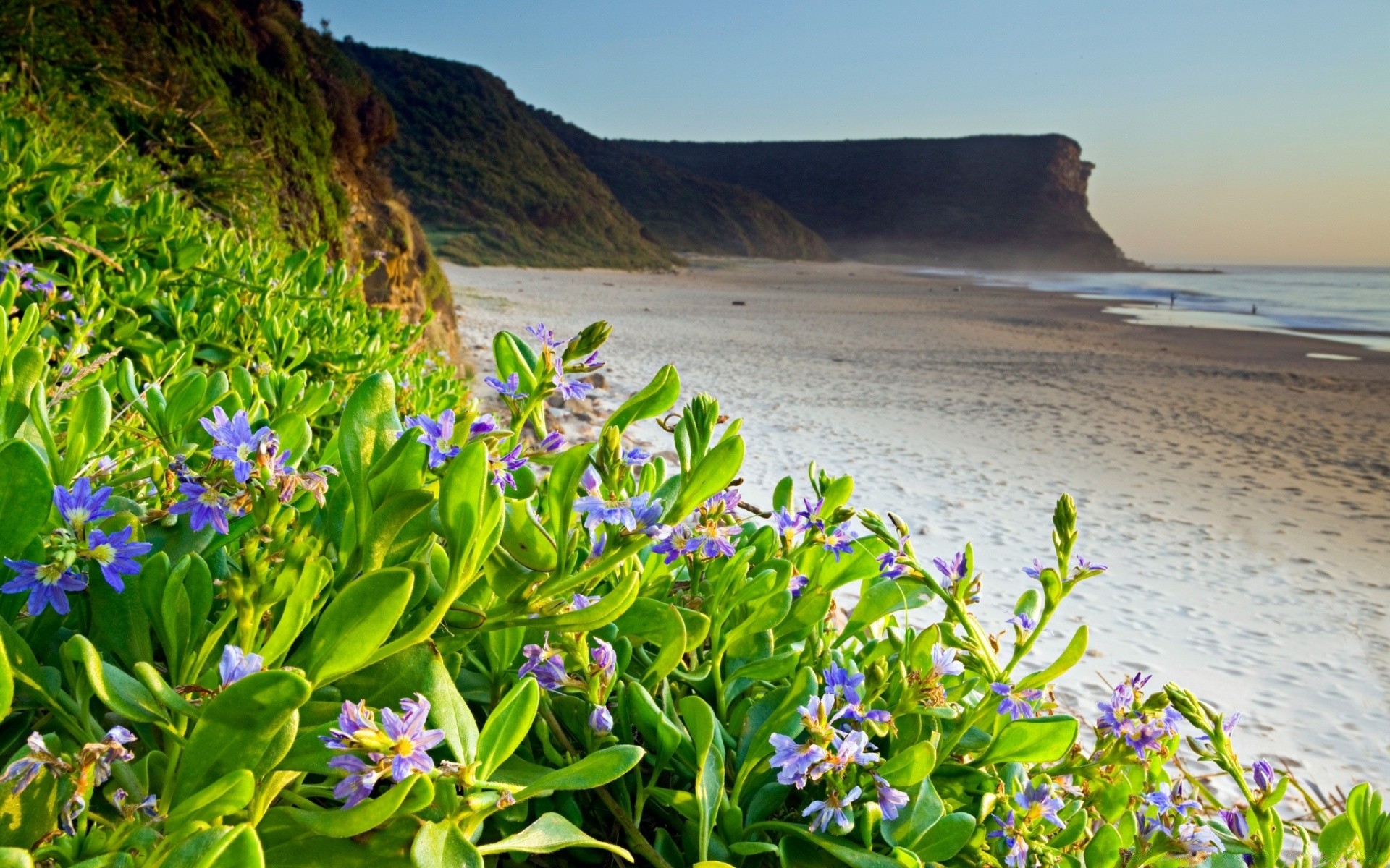 blumen natur wasser sommer landschaft im freien blume reisen flora gutes wetter himmel meer schön gras wild landschaftlich jahreszeit sonne blatt sonnig