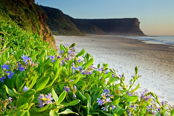 Morning beach in the mountains