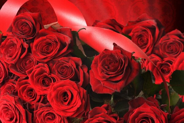 Bouquet di un gran numero di rose rosse