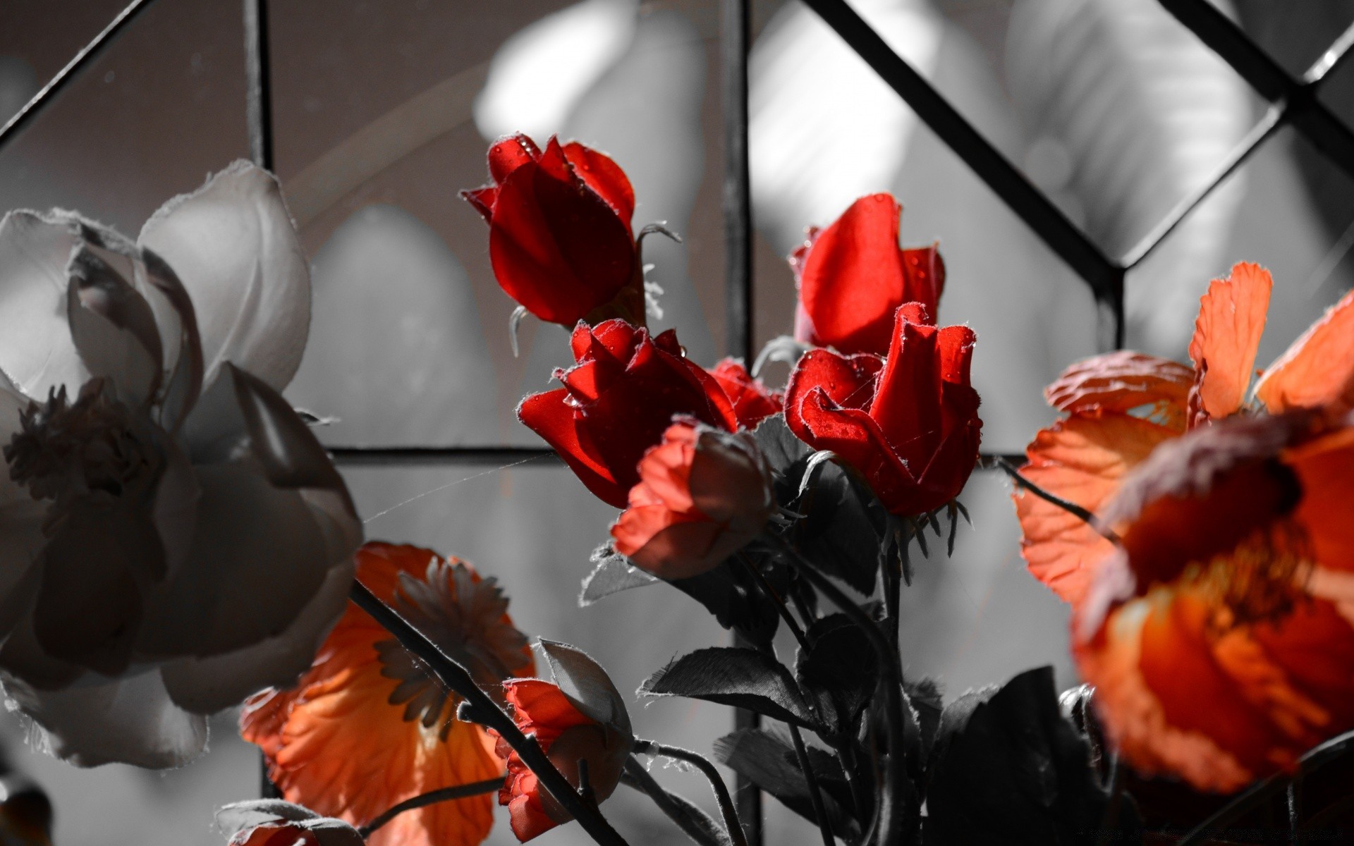 flores folha flor decorações alimento sozinho exterior ainda vida