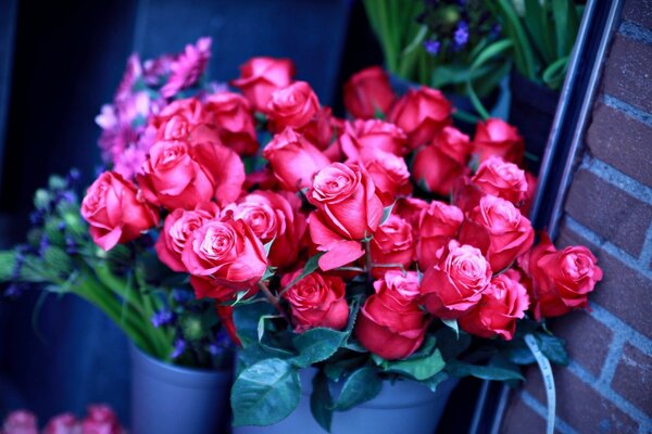 Buquê de rosas em uma panela perto de uma parede de tijolos