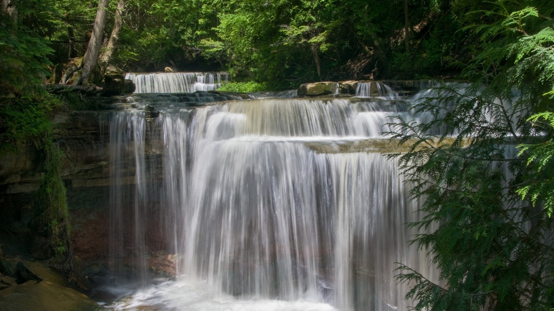 waterfalls waterfall water nature river wood stream cascade fall leaf wet purity outdoors flow clean park motion tree landscape rock