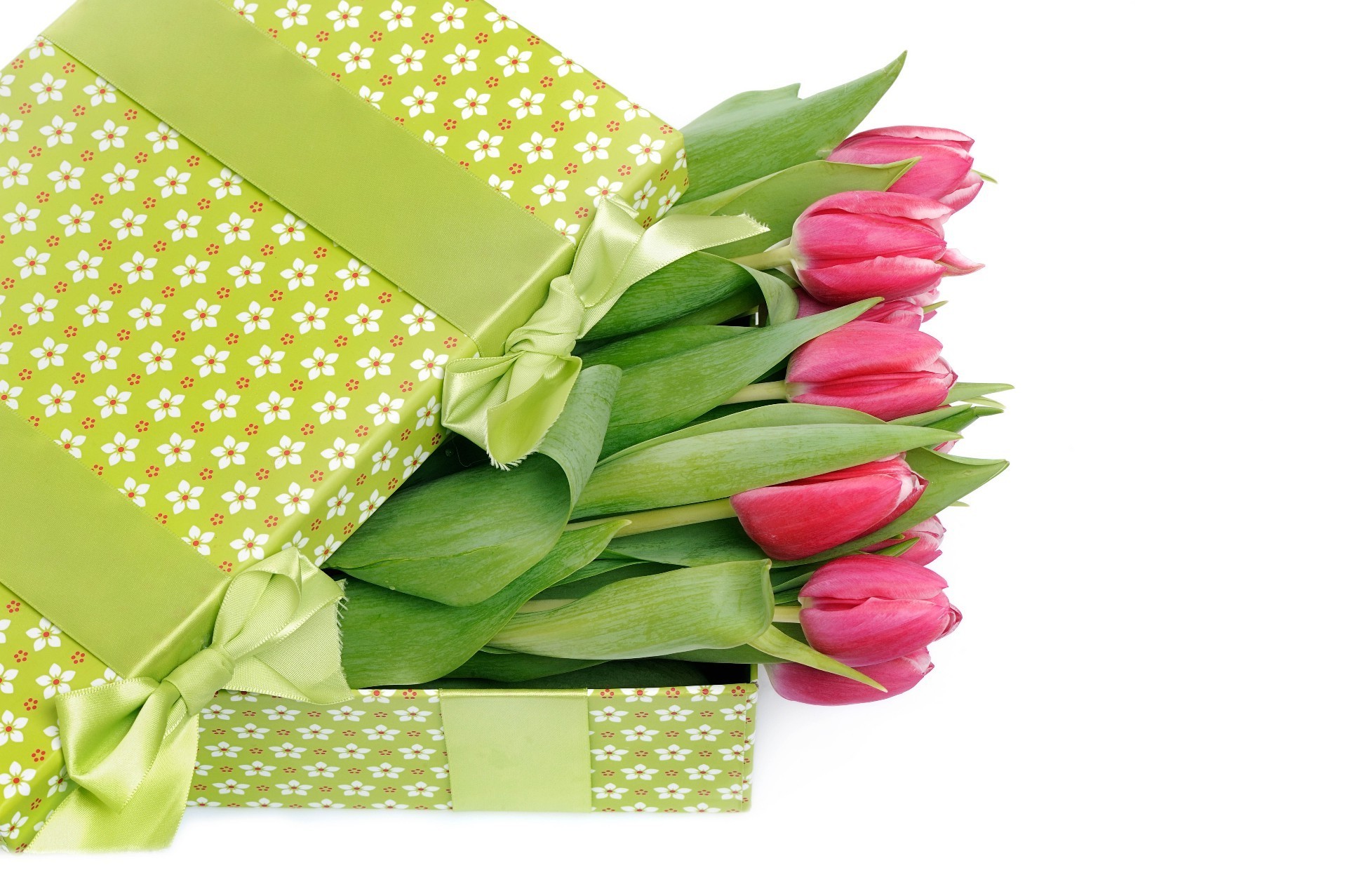 tulips gift birthday thread leaf desktop isolated decoration