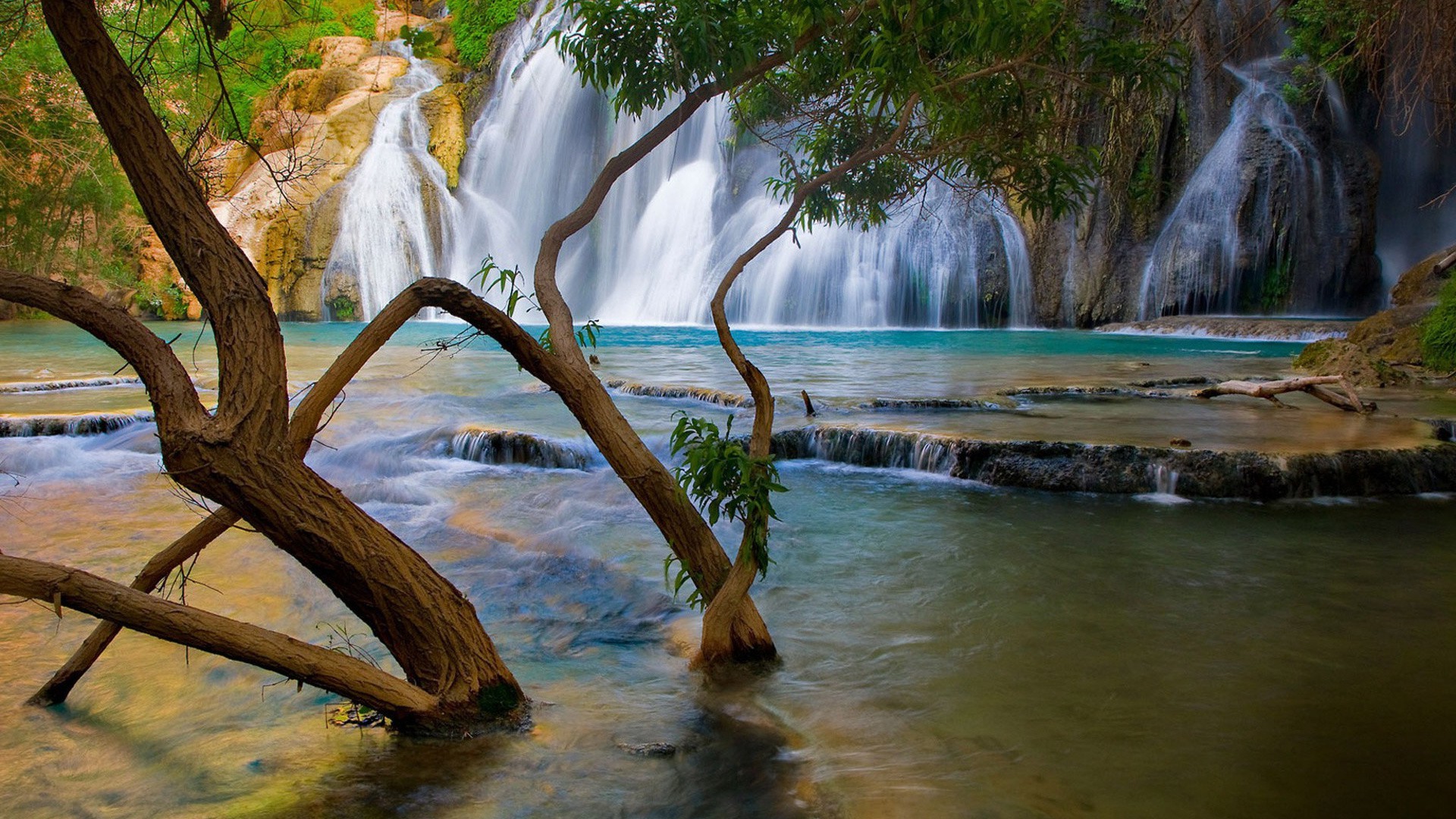 cascate acqua cascata legno natura albero fiume viaggio paesaggio tropicale flusso foglia roccia all aperto autunno bagnato bella