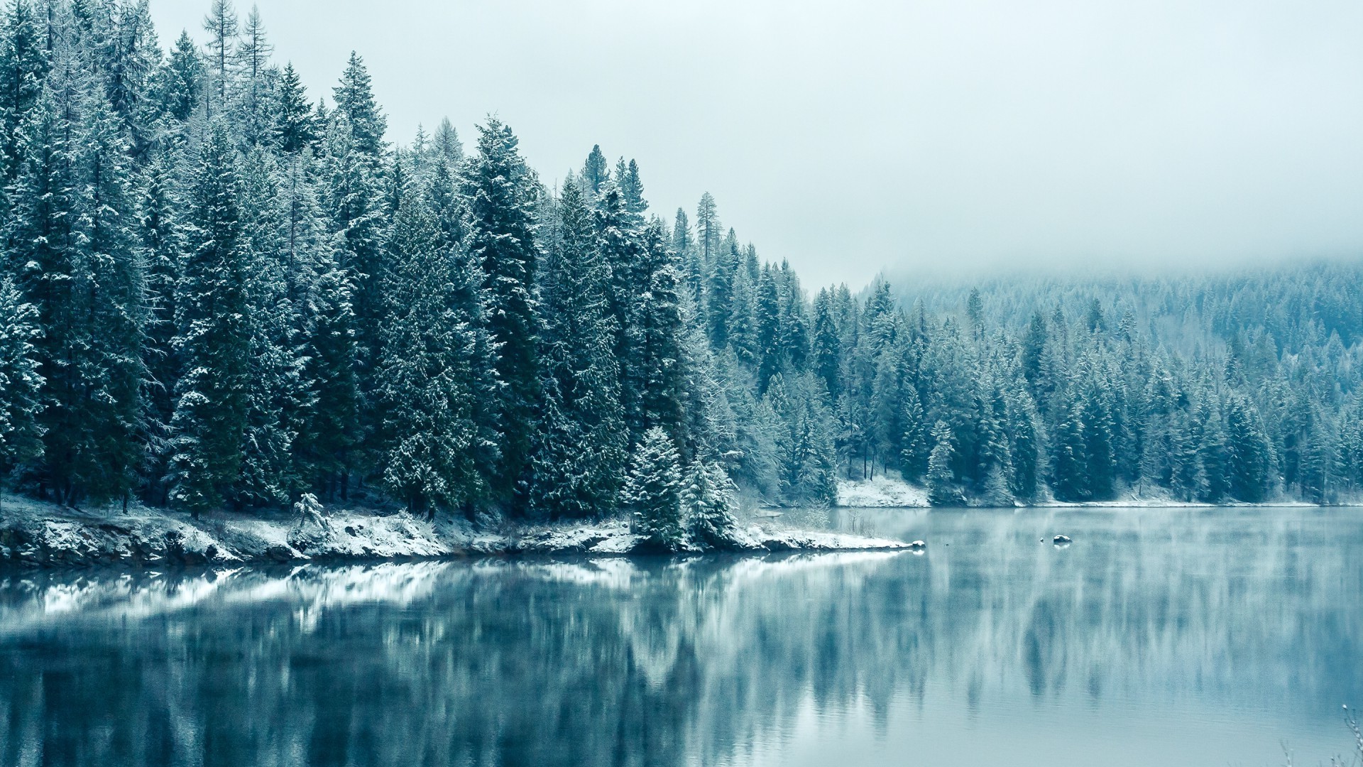 wald schnee holz natur landschaft berge landschaftlich winter baum kälte wild im freien nadelholz evergreen