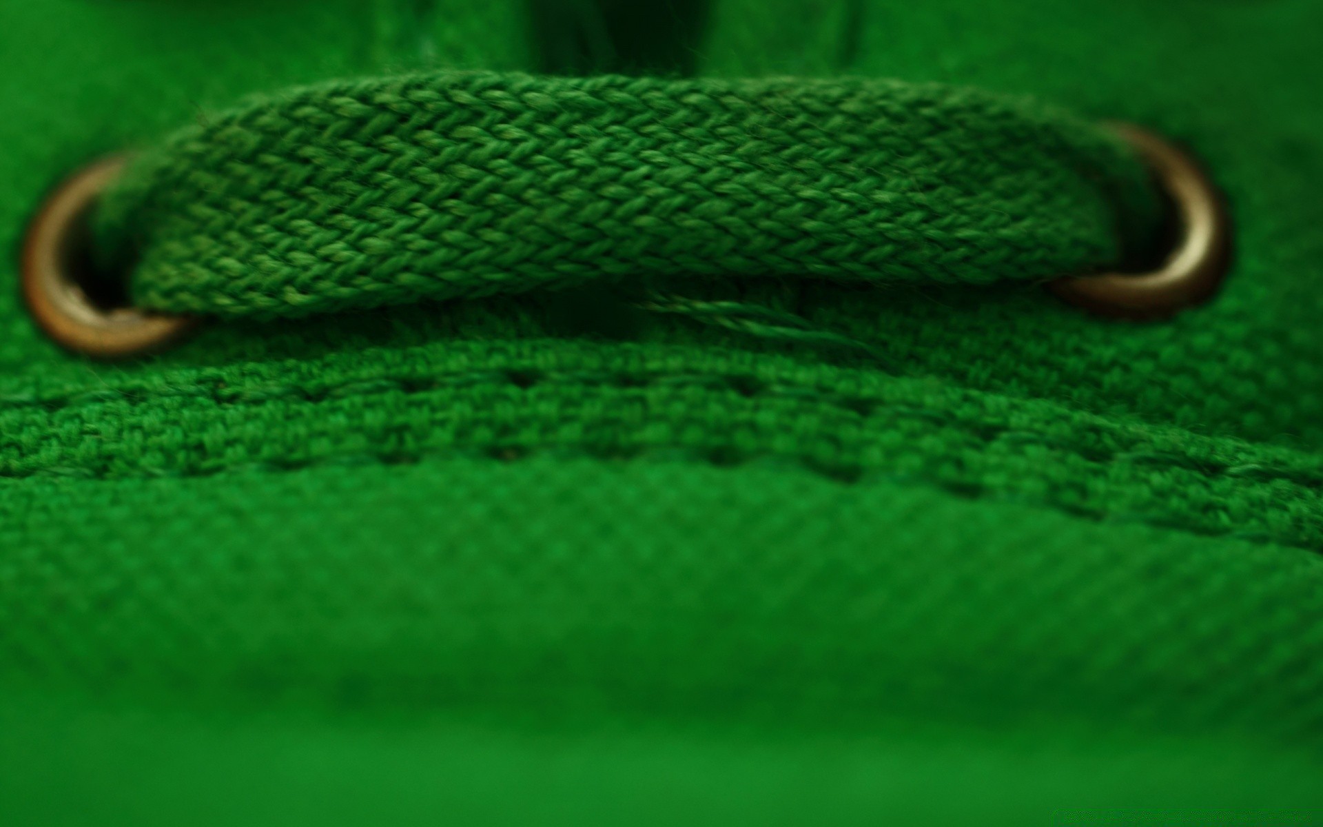 macro serpente desktop gazoo natura modello colore texture close-up astratto pitone copia viper